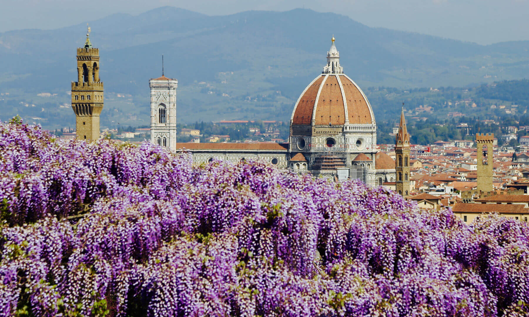 花咲き誇る春のフィレンツェで訪れたい３つの庭園 | FIRENZE PLUS